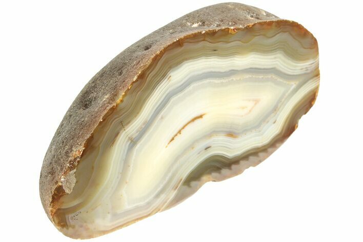 Polished Black River Agate - Argentina #209627